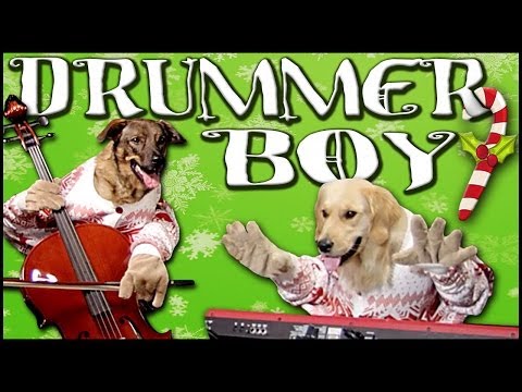 Little Drummer Boy - Walk off the Earth (Feat. Doggies)