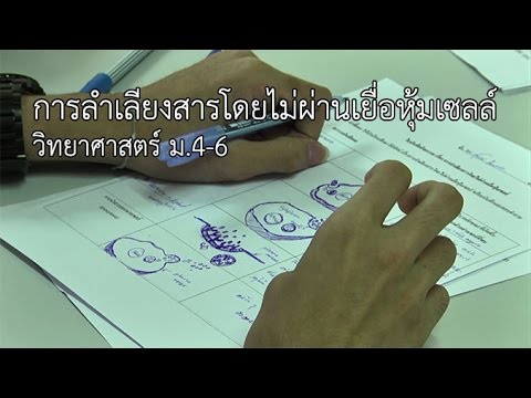 วิทยาศาสตร์ ม. 4-6 ชีววิทยา การลำเลียงสารโดยไม่ผ่านเยื่อหุ้มเซลล์ ครูภูษณิศา กุณสิทธิ์