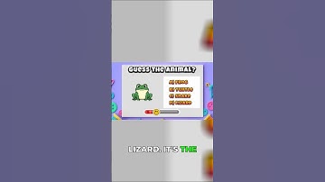 Frog & Panda Trivia! How Frogs Drink & Panda Diet!