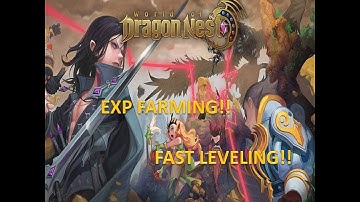 Quick Tips and Tricks for Getting more Exp in World of Dragon Nest. Lvl 100 Update