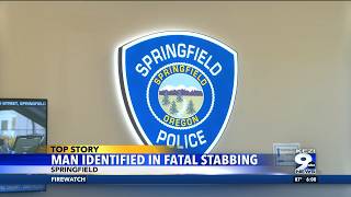 Springfield police identify man killed in deadly stabbing