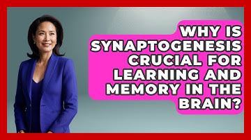 Why Is Synaptogenesis Crucial For Learning And Memory In The Brain? - Brain Development Hub