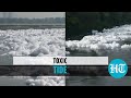 Watch: Yamuna river covered in toxic foam; Delhi residents react to pollution