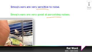 Rat Word: sens / sent (root)