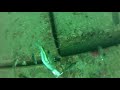 カットウ革命極３０号空振り連発シーン