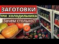 Три ХОЛОДИЛЬНИКА и ПОГРЕБ с заготовками. Зачем столько? Меняю местами