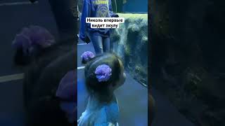 Реакция Николь на акулу в океанариуме в Астане