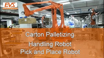 Carton Palletizing | Handling Robot | Pick and Place Robot
