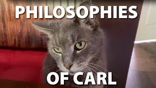 Philosophies of Carl by Chad-Michael Simon 3,718 views 3 years ago 21 seconds