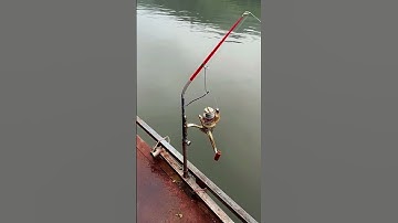 Cần câu máy tự động giật, câu cá lancer đến 20kg #1k  #fishing #shorts