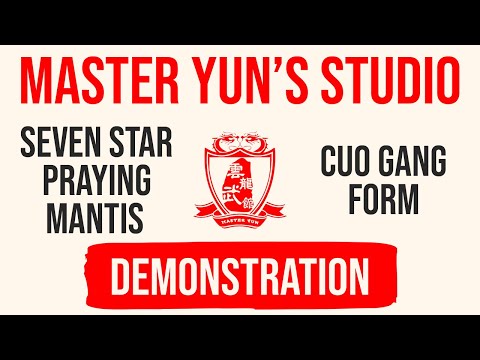 Cuo Gang Form Demonstration | Seven Star Praying Mantis