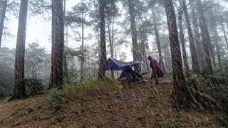 camping alone in the rain||Thunder and strong winds||cooking,sleep well in a comfortable tent