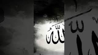 Прекрасное чтение Корана #islam #quran  #ислам #психология #рекомендации #рек #видео