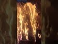 Feuer Feuer, wir  brauchen warm #short