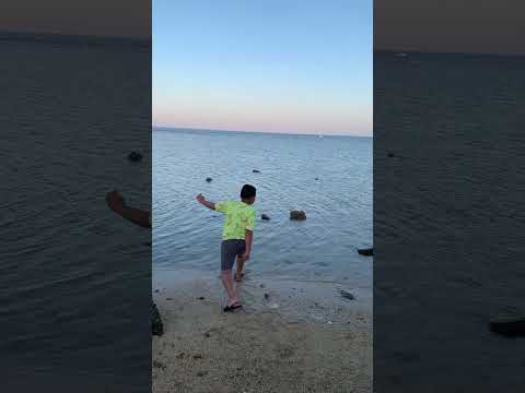 شوفت الحركة دي