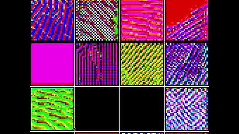 Genetically Evolved Cellular Automata
