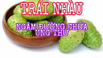 Trái Nhàu Ngâm Đường Có Tác Dụng Gì? Để Được Báo Lâu?