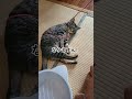 皆も鬼にならないか？