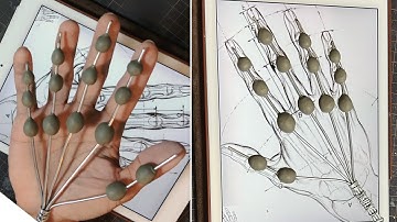 How to sculpt a Hand in water-based clay - part 1 - for beginners #hand #art #clay #beginners #ねんど