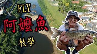 釣阿嬤魚很難? FLY怎麼釣? 小小心得分享給您。諾諾哥第一次 ... 