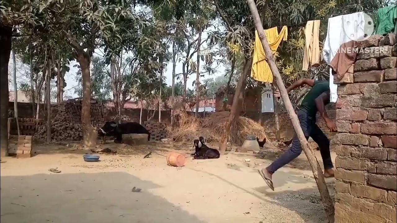 comedy video mast comedy mast superhit kirietar isteant comedy 