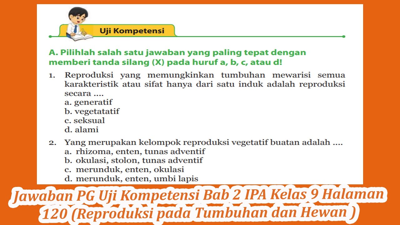 Anak ayam tumbuh di dalam telur selama 21 hari sebelum menetas. cadangan makanan anak ayam sebelum m