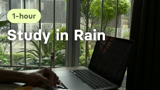 RELAXING Study in Rain  | rain sound | 1hour nostop