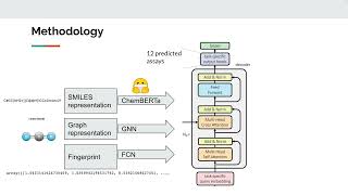 Columbia EECS 6895 Project presentation - molecular toxicity prediction