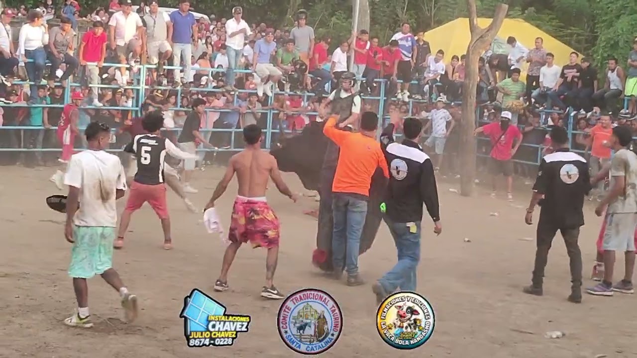 Catarina 🐂Corridas de toros tradicionales Ganadería Dávila 🤠💥🤠🐂 