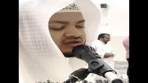 سورة عبس القارئ/ رأفت مولوي
