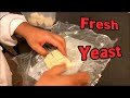 How To Make Fresh Yeast with ingredient only