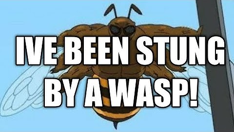 IVE BEEN STUNG BY A WASP! - remix
