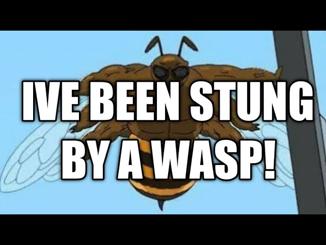 this is a wasp meme