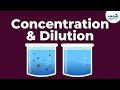 Understanding Dilute and Concentrated Solutions