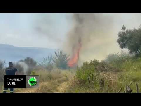 Video: 3 mënyra për të vizatuar fytyra