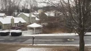 1/23/16 snow in Abbotts glen 1/23/16 snow in Abbotts glen
