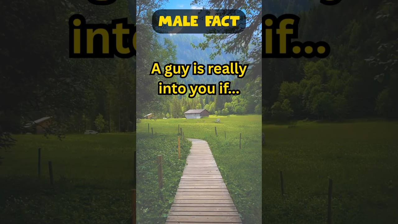 The Hidden Patterns of Male Psychology You're Not Aware Of