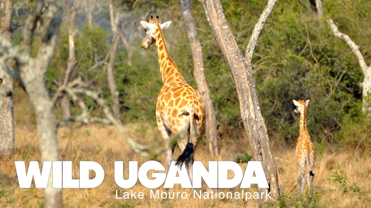 Lake Mburo National Park