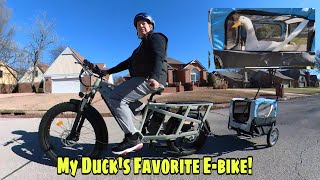 The Yoto Lion Cargo eBike Is Perfect For Pets (And People)!!