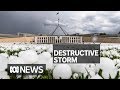 Vehicles smashed as hailstones the size of golf balls pelt Canberra | ABC News