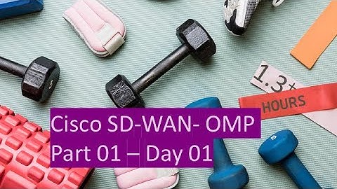 Day 11 - Cisco SD-WAN - Overlay Management Protocol - OMP - part 01