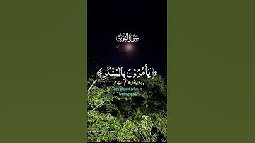 سورة التوبة ما شاءالله بہت پیاری آواز ہے