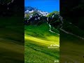 ألم تر إلى ربك كيف مد الضل الفرقان عبدالعزيز سحيم ألم تر إلى ربك كيف مد الضل الفرقان عبدالعزيز سحيم