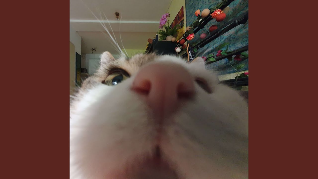 lucky number thirteen