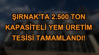 Şırnakta 2.500 Ton Kapasiteli Yem Üretim Tesisi Tamamlandı