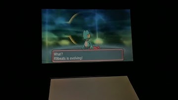 Evolving shiny Treecko! (Pokémon ORAS)