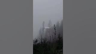 heruwabo nukhuju,Mirzzu Mirzanoor,heruwabo nukhuju,assamese whatsApp status video #ytshorts #youtube