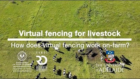 How does virtual fencing work on-farm?