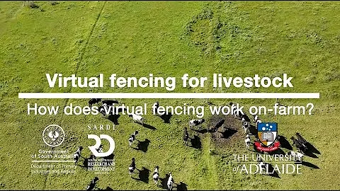 How does virtual fencing work on-farm?