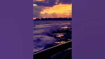 وبينا ميعاد عمرو دياب اغنية قصاد عينى Amr Diab Music Coversong Love Song 